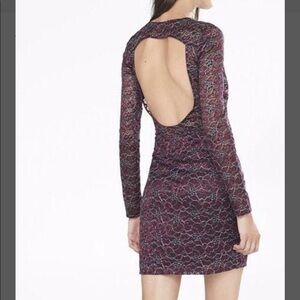 Express Long Sleeve Plum Lace Fitted Dress Holiday Shimmer NYE